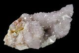 Cactus Quartz (Amethyst) Crystal Cluster - South Africa #137810-1